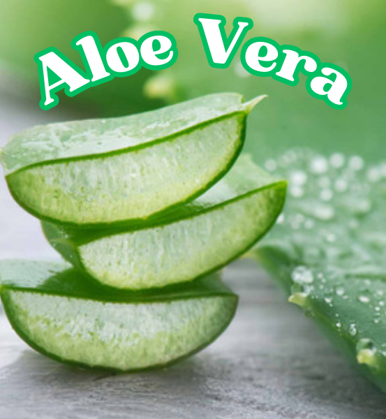 Sliced aloe vera leaves with a green background and the text 'Aloe Vera'. 