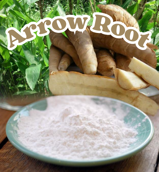 Arrow root powder sitting on a light blue plate on a wooden surface with arrow roots and greenery in the background.