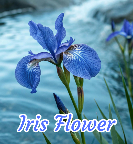 Forrest Gardens *Handmade Soap (4oz)