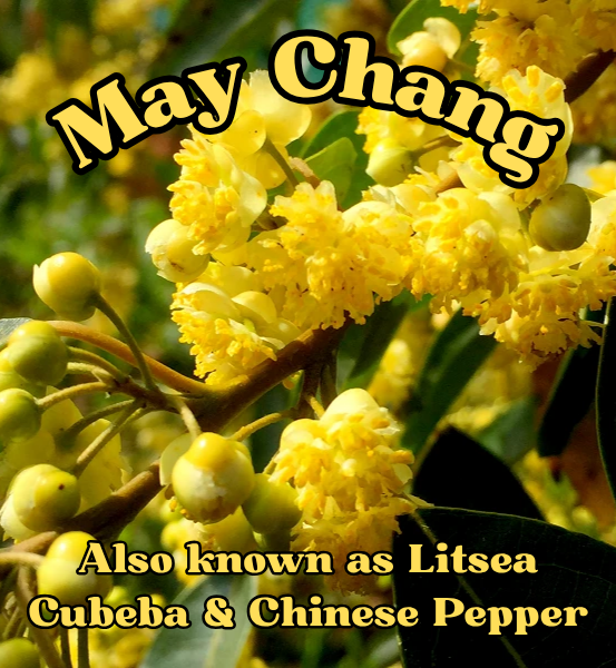 Lavender, Lemon & May Chang  *Handmade Soap (4.5oz)
