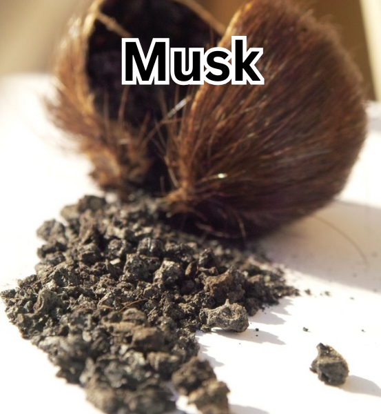 Musk powder laying on a white surface, labeled 'Musk'.