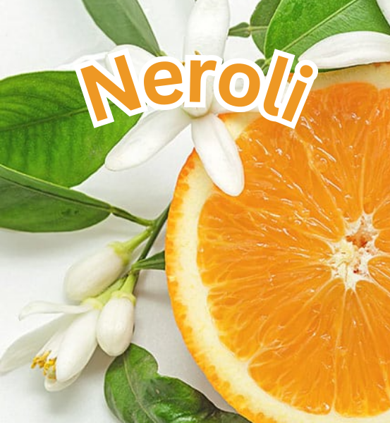Neroli flower with a sliced orange and green leaves on a white background with the text 'Neroli'