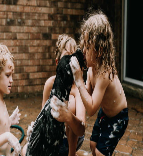 NOS2TAIL Natural Dog Soap (Green Edition) *4.5oz Bar