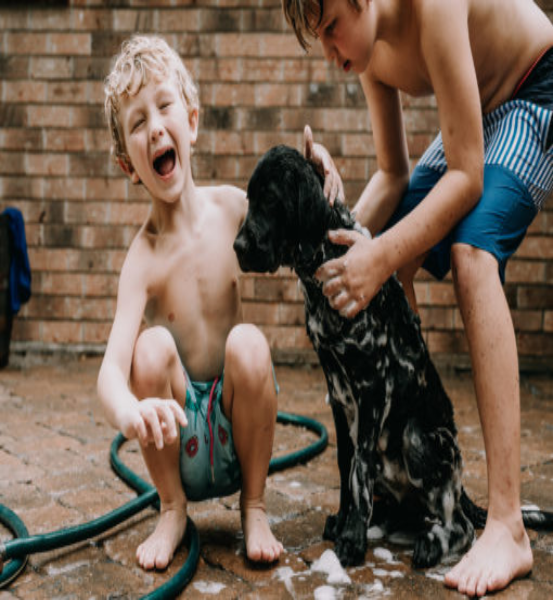 NOS2TAIL Natural Dog Soap (Green Edition) *4.5oz Bar