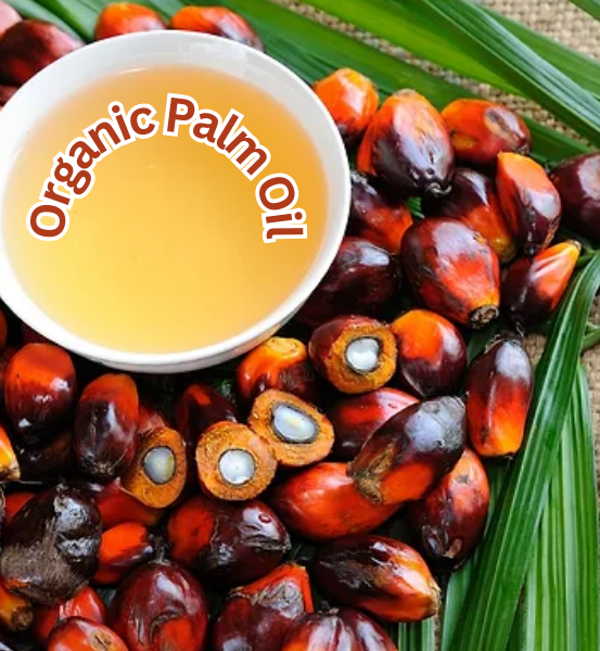 Palm oil fruits with a bowl of organic palm oil on a green leaf background with the text 'Organic Palm Oil.