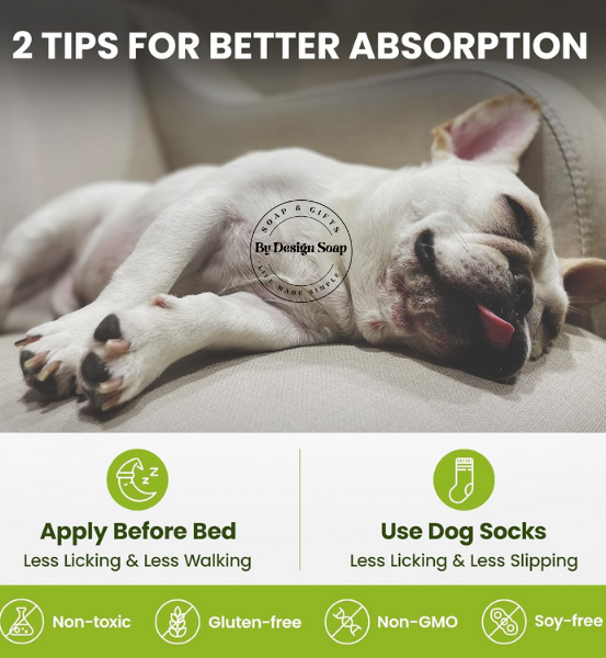 Dog lying on a couch with tips for better absorption displayed below.