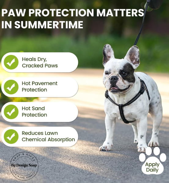 Dog on a leash with paw protection product information displayed and the text 'PAW PROTECTION MATTERS IN SUMMERTIME.
