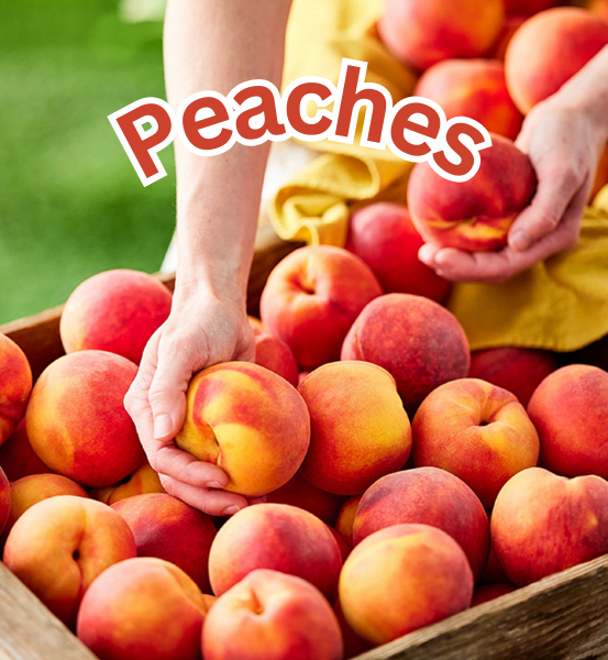 Person holding peaches from a box of peaches and the text 'Peaches'.