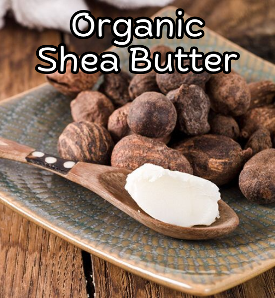 Shea butter on a wooden spoon with shea nuts on a plate, labeled 'Organic Shea Butter'.
