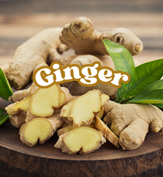 Cut Ginger root with slices laying on a wooden surface, featuring the word 'Ginger'.